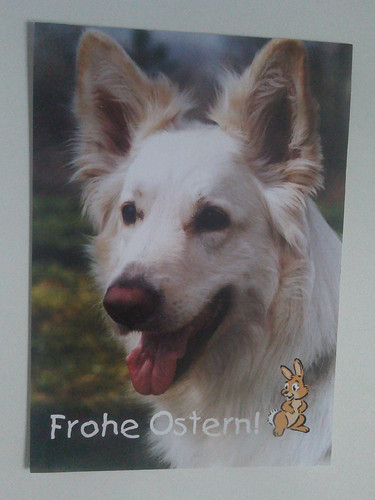 Ansichtskarten