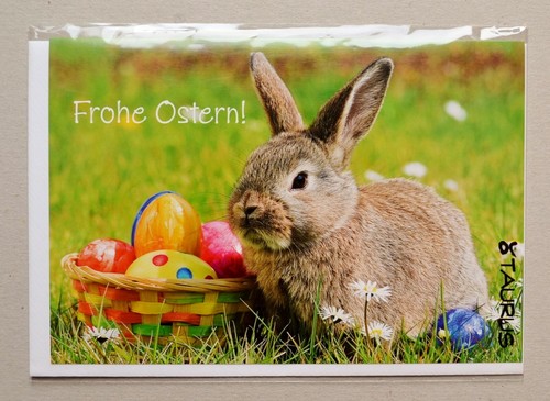 Frohe ostern karte - ostern",